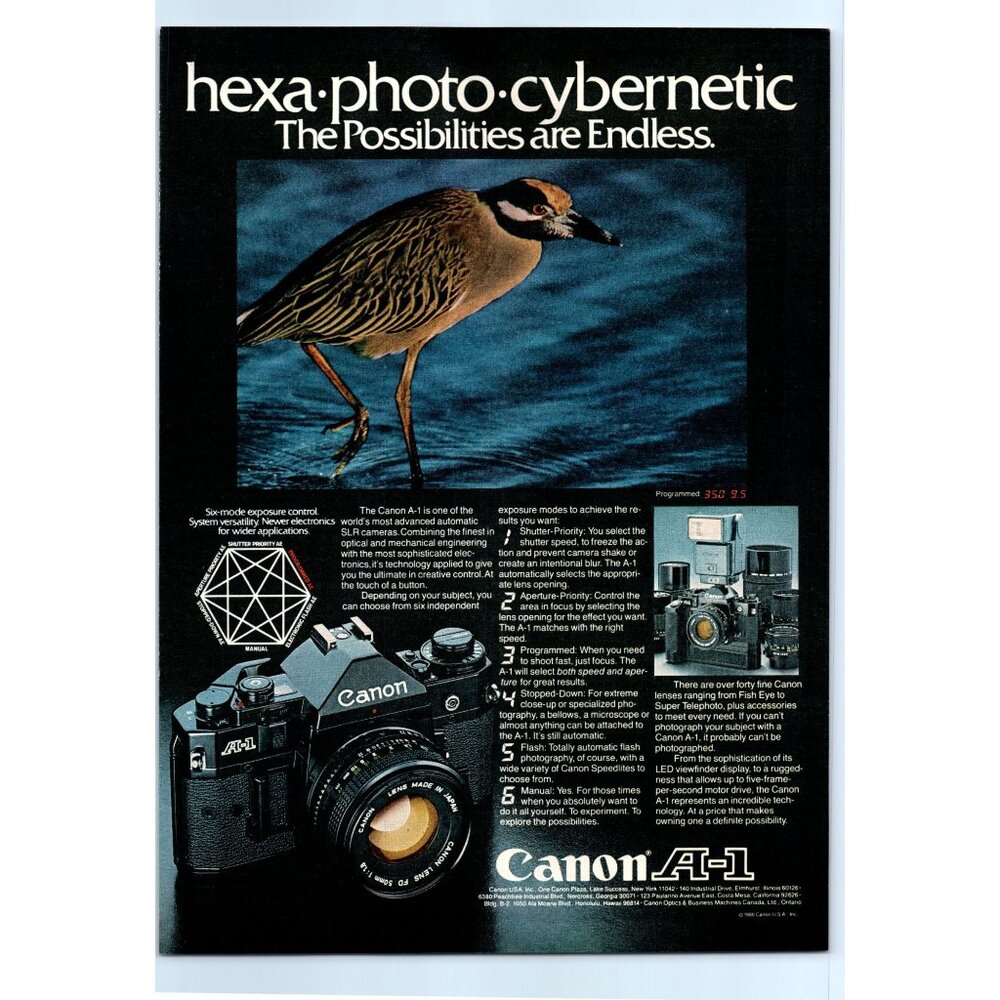 1981 Canon A-1 SLR Film Camera Nature Photography Bird Vintage Print Ad Wall Art